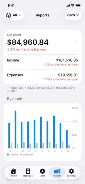 Reports: net profit for the year against last year, income, expenses and a chart by month